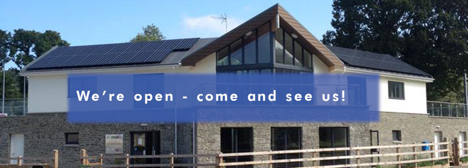 Pavilion in the Park banner