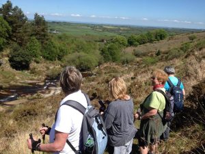 Dartmoor Nordic Walking