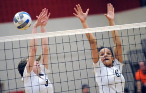 Image: Volleyball