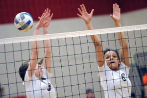 Image: volleyball