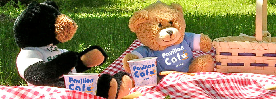 Image: Teddy bears picnic 2019