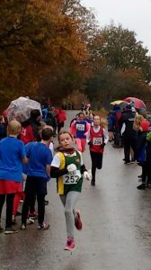 Castle Drogo Schools cross country 2019